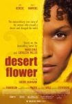 Desert Flower