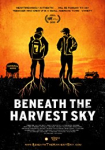 Beneath the Harvest Sky